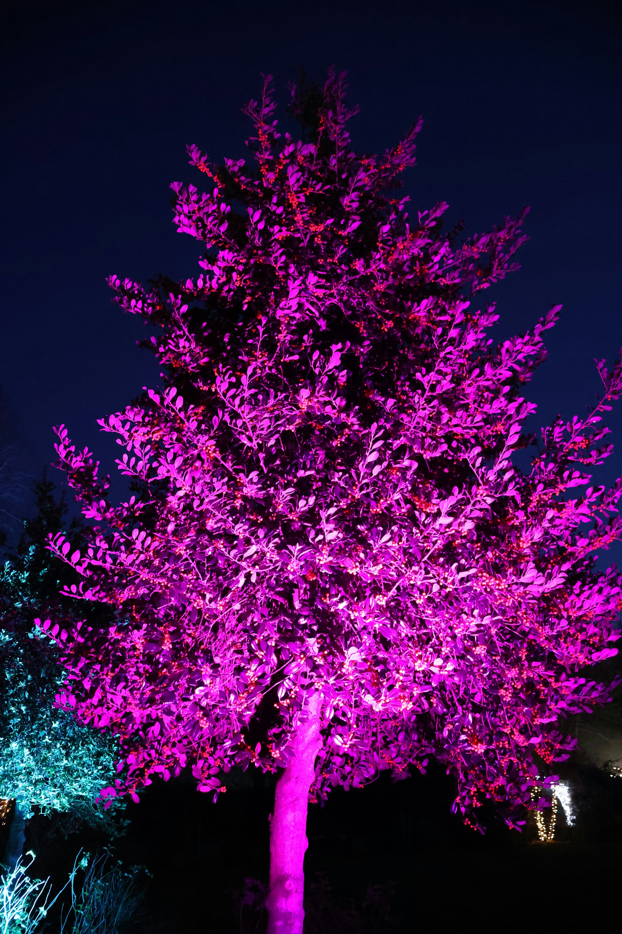 Neon forest light installation