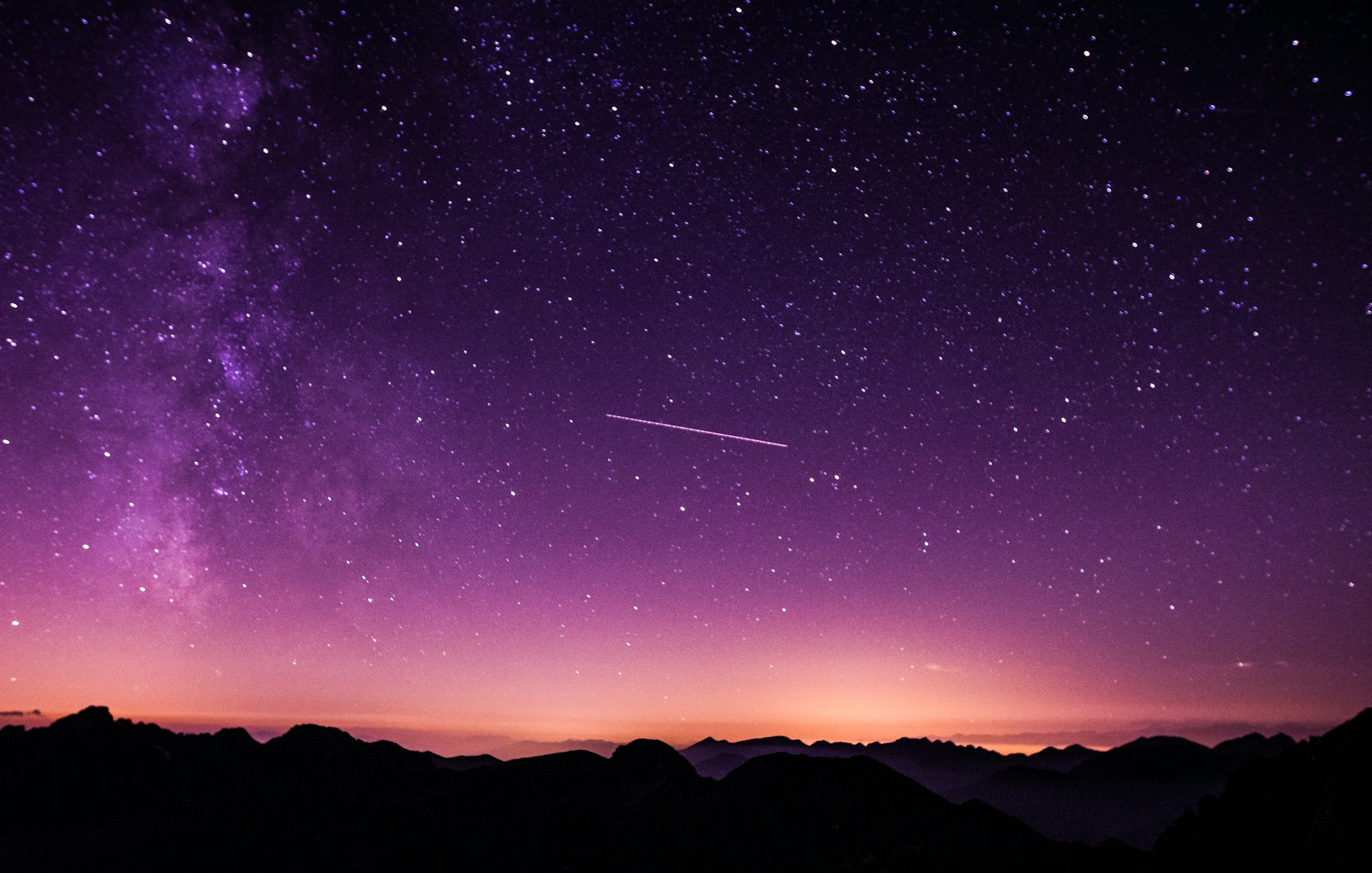 Forest at night with stars